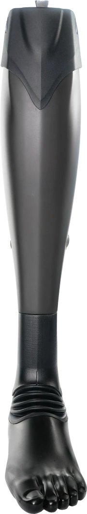 SYNSYS (For Trial)