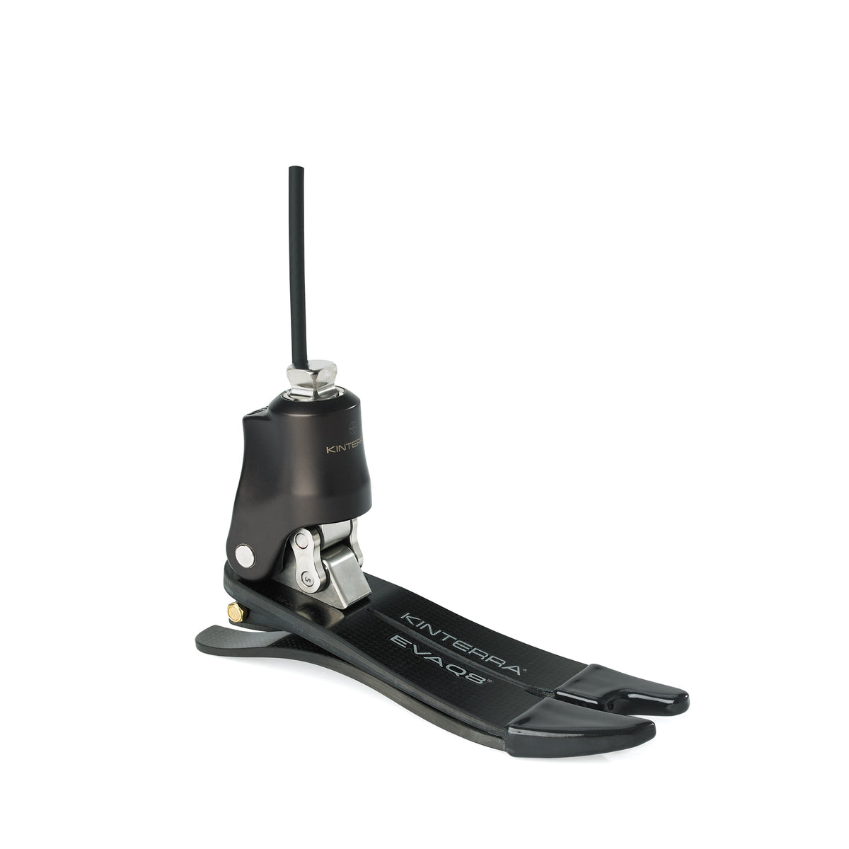 NEW KINTERRA EVAQ8