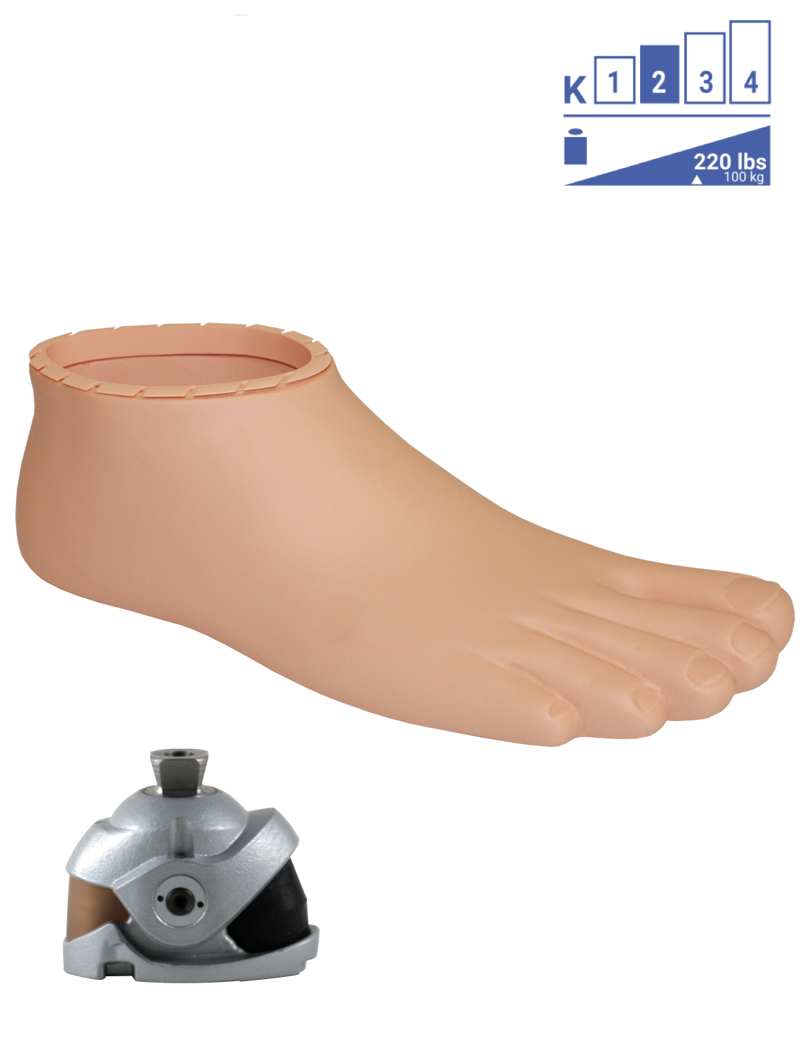 DynaStep